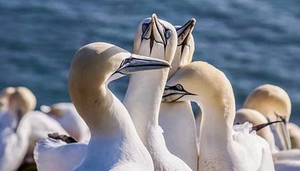 余姚最新的高价医保卡惠民保险代扣怎么取消掉了方法分享(余姚惠民医保怎么报销教程)