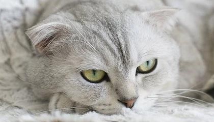 余姚最新的高价医保个人账户余额微信查询方法分享(余姚医保查询个人账户明细怎么查微信教程)